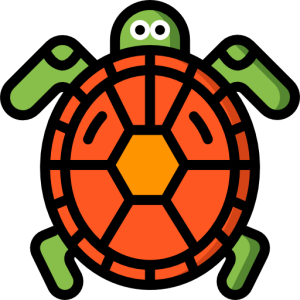 Exploring Python with Turtle Graphics – CSUK:Academy